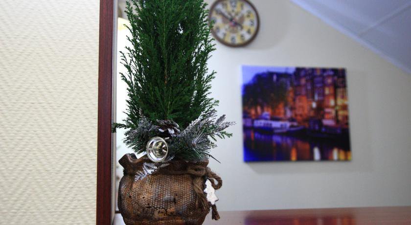 Гостиница Homehotel Внуково-9
