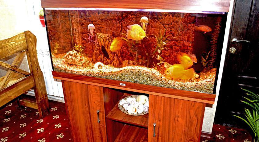 Гостиница Homehotel Внуково-42
