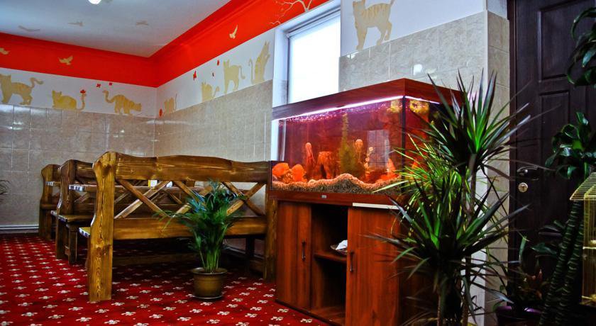 Гостиница Homehotel Внуково-21
