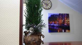 Гостиница Homehotel Внуково-5